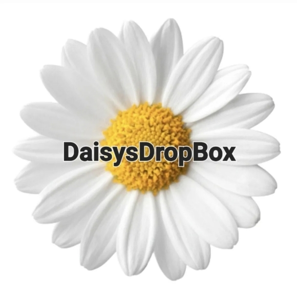 Martin Dingman Tan American Saddle Leather Keychain Accessory Felt Zipper Bag - Picture 8 of 8